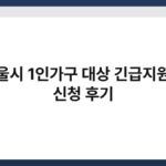 서울시 1인가구 대상 긴급지원금 신청 후기 3