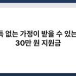 소득 없는 가정이 받을 수 있는 월 30만 원 지원금 3