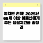 놓치면 손해! 2025년 65세 이상 어르신에게 주는 생활지원금 총정리 3