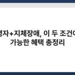 고령자+지체장애, 이 두 조건이면 가능한 혜택 총정리 3