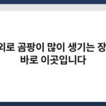 의외로 곰팡이 많이 생기는 장소, 바로 이곳입니다 5