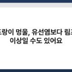 겨드랑이 멍울, 유선염보다 림프절 이상일 수도 있어요 5