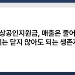 소상공인지원금, 매출은 줄어도 가게는 닫지 않아도 되는 생존자금 6