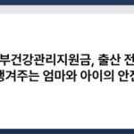 임산부건강관리지원금, 출산 전부터 챙겨주는 엄마와 아이의 안전 7