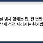 화장실 냄새 없애는 팁, 한 번만 해도 냄새 걱정 사라지는 환기법 7