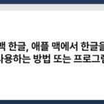 맥 한글, 애플 맥에서 한글을 사용하는 방법 또는 프로그램 7