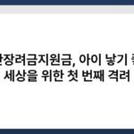 출산장려금지원금, 아이 낳기 좋은 세상을 위한 첫 번째 격려 3