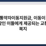 교통약자이동지원금, 이동이 곧 생활인 이들에게 제공되는 교통권 복지 2