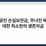 소상공인 손실보전금, 무너진 매출에 대한 최소한의 생존자금 2