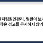 손발저림원인관리, 혈관이 보내는 작은 경고를 무시하지 않기 4