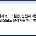 식사속도조절법, 천천히 먹는 것만으로도 달라지는 체내 변화 6