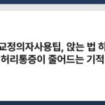 자세교정의자사용팁, 앉는 법 하나로 허리통증이 줄어드는 기적 7