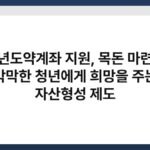 청년도약계좌 지원, 목돈 마련이 막막한 청년에게 희망을 주는 자산형성 제도 5