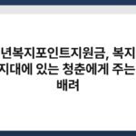 청년복지포인트지원금, 복지의 사각지대에 있는 청춘에게 주는 작은 배려 5